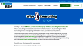 What Wisepayroll.com website looked like in 2023 (This year)