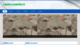 What Wanghongjd.com website looks like in 2024 
