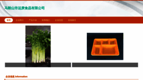 What Wsjygh.com website looks like in 2024 