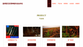 What Wzcaiyuan.com website looks like in 2024 