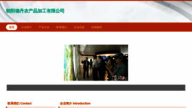 What Wzdede.com website looks like in 2024 