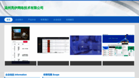 What Wzliangyi.com website looks like in 2024 