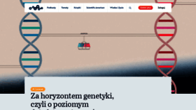 What Wiz.pl website looks like in 2024 
