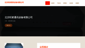 What Wangcai999.com website looks like in 2024 