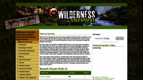 What Wilderness-survival.net website looked like in 2024 (1 year ago)