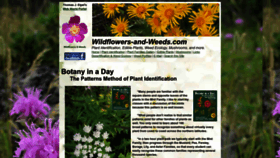 What Wildflowers-and-weeds.com website looks like in 2024 