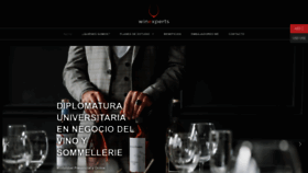 What Winexpertsdeargentina.com website looks like in 2024 