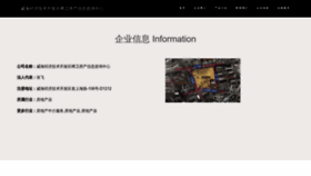 What Whzunwei.com website looks like in 2024 