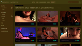 What Webcams.rip website looks like in 2024 