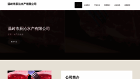 What Wmcq58.cn website looks like in 2024 