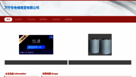 What Wnsxqw.cn website looks like in 2024 
