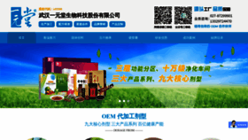What Whyyt.com.cn website looked like in 2024 (1 year ago)