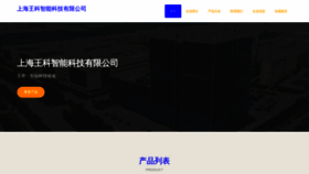 What Wangketui.com website looks like in 2024 