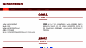 What Whbaibao.com website looks like in 2024 