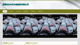 What Wzxingmei.com website looks like in 2024 