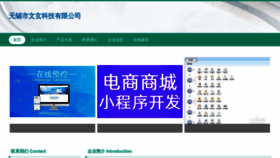 What Wx519.cn website looks like in 2024 