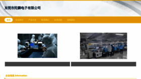 What Worldtolink.cn website looks like in 2024 
