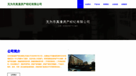 What Wtqfqzm.cn website looks like in 2024 