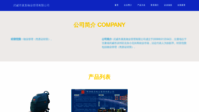 What Wwtzkz.cn website looks like in 2024 