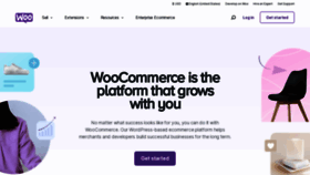 What Woothemes.com website looks like in 2024 