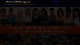 What Websitetrafficpackages.com website looks like in 2024 