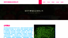 What Wtaofu.cn website looks like in 2024 