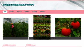 What Weijingherong.com website looks like in 2024 