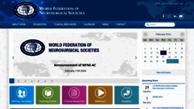 What Wfns.org website looks like in 2024 