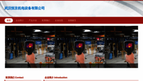 What Wuhanhhjd.com website looks like in 2024 