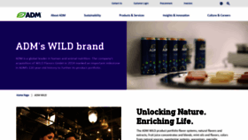 What Wildflavors.com website looked like in 2024 (1 year ago)