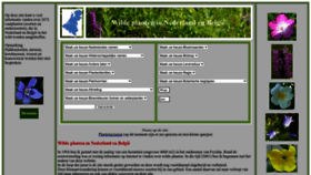 What Wilde-planten.nl website looks like in 2024 