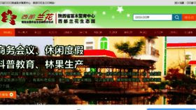 What Xibulanhua.com website looked like in 2015 (8 years ago)