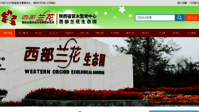 What Xibulanhua.com website looked like in 2016 (7 years ago)