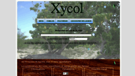 What Xycol.net website looked like in 2016 (7 years ago)