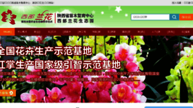 What Xibulanhua.com website looked like in 2017 (6 years ago)