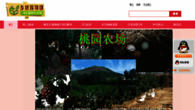 What Xcgwt.cn website looked like in 2018 (5 years ago)