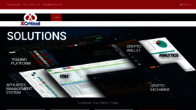 What Xcritical.com website looked like in 2020 (4 years ago)