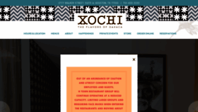 What Xochihouston.com website looked like in 2021 (3 years ago)