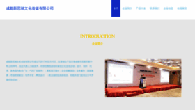 What Xinsic.com website looked like in 2023 (This year)