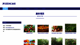 What Xinghuilvse.com website looked like in 2023 (This year)