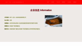 What Xsgm99.com website looked like in 2023 (This year)