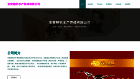 What Xiangyushanzhen.com website looked like in 2023 (This year)
