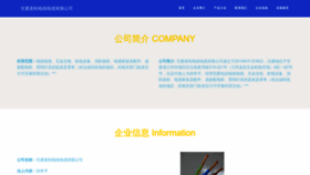 What Xilipaiwash.com website looked like in 2023 (This year)