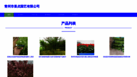 What Xizhenyuanyi.com website looked like in 2023 (This year)