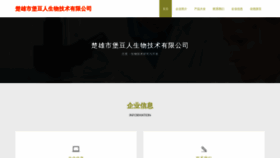 What Xbaodou.com website looked like in 2023 (This year)