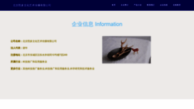 What Xiduoballetschool.com website looked like in 2023 (This year)