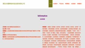 What Xingyaoshenghuo.com website looked like in 2023 (This year)
