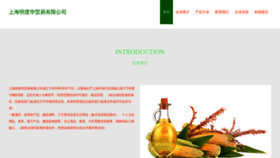 What Xx326.cn website looked like in 2023 (This year)