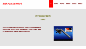 What Xiyvfei.cn website looked like in 2023 (This year)