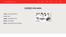 What Xzairsg.cn website looked like in 2023 (This year)